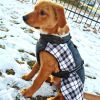 Alpine All-Weather Dog Coat - Black and White Plaid