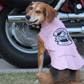 Biker Dawg Motorcycle Dog Jacket - Pink (size: X-Small)