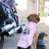 Biker Dawg Motorcycle Dog Jacket - Pink