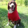 Flex-Fit Dog Hoodie - Red