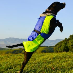 Alpine All-Weather Dog Coat - Blue and Green (size: 2X-Large)