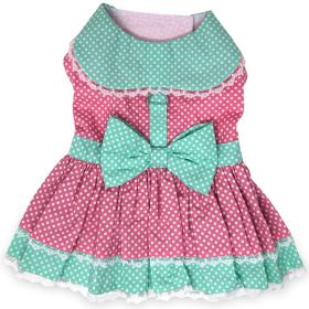 Polka Dot and Lace Dog Dress Set with Leash - Pink and Teal (size: X-Large)