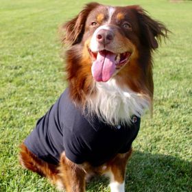 Solid Dog Polo - Jet Black (size: 2X-Large)