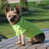 Solid Dog Polo - Green Flash