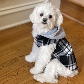 Weekender Dog Sweatshirt Hoodie - Black & White Plaid Flannel (size: X-Large)