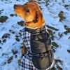 Alpine All-Weather Dog Coat - Black and White Plaid