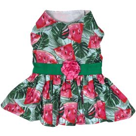 Juicy Watermelon Dog Dress with Matching Leash (size: large)