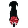 Ruffled Red Polka Dot Dog Panties