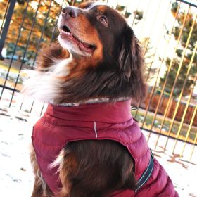 Alpine Extreme Weather Puffer Coat - Burgundy (size: small)