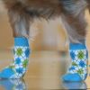 Non-Skid Dog Socks - Blue and Green Argyle