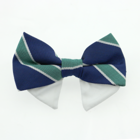 Universal Dog Bow Tie - Navy Blue and Green Stripe (size: Type 2)