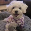 CuddlePup Dog Pajamas - Fluffy Clouds - Purple