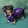 Weekender Dog Sweatshirt Hoodie - Purple